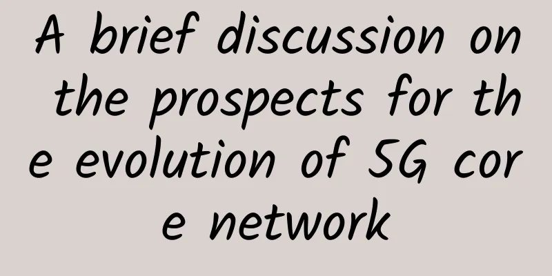 A brief discussion on the prospects for the evolution of 5G core network