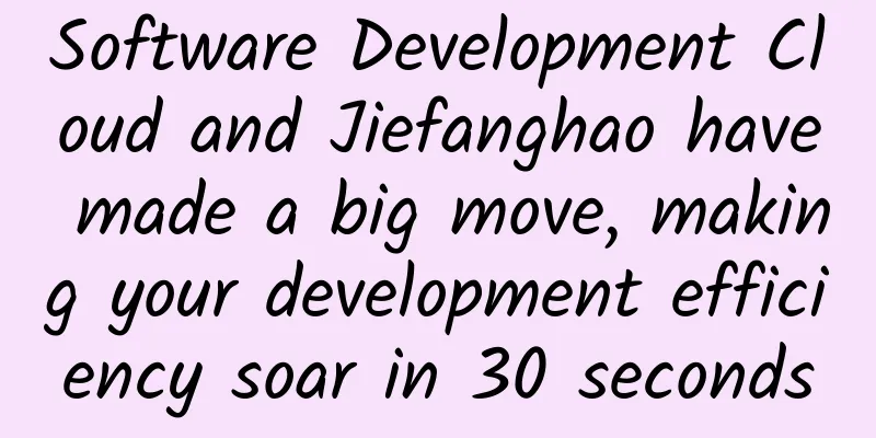 Software Development Cloud and Jiefanghao have made a big move, making your development efficiency soar in 30 seconds