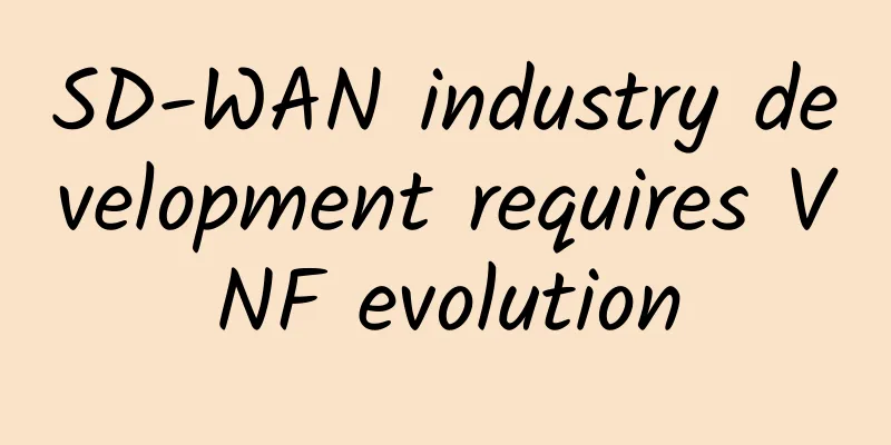 SD-WAN industry development requires VNF evolution