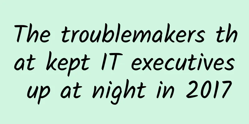 The troublemakers that kept IT executives up at night in 2017