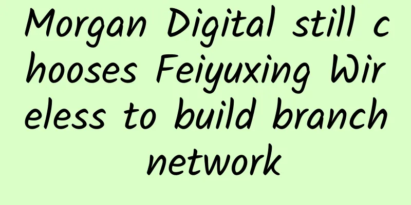 Morgan Digital still chooses Feiyuxing Wireless to build branch network