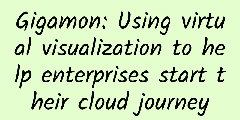 Gigamon: Using virtual visualization to help enterprises start their cloud journey