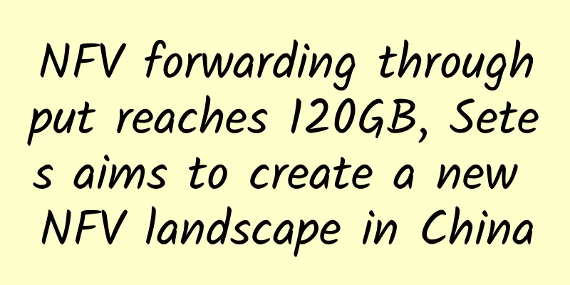 NFV forwarding throughput reaches 120GB, Setes aims to create a new NFV landscape in China