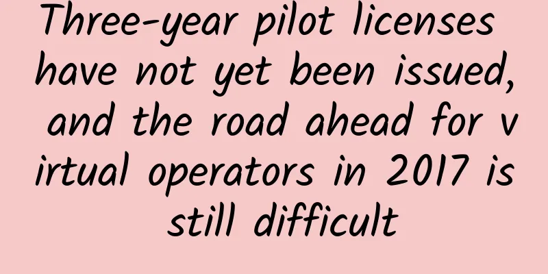 Three-year pilot licenses have not yet been issued, and the road ahead for virtual operators in 2017 is still difficult