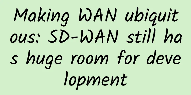 Making WAN ubiquitous: SD-WAN still has huge room for development