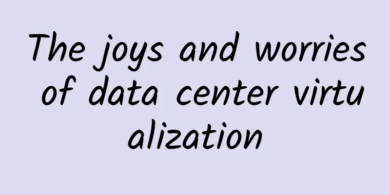 The joys and worries of data center virtualization